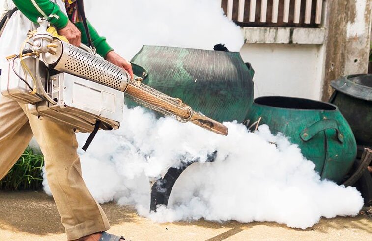 Pragatizacao: A Pathway to Progress and Innovation in Modern Society